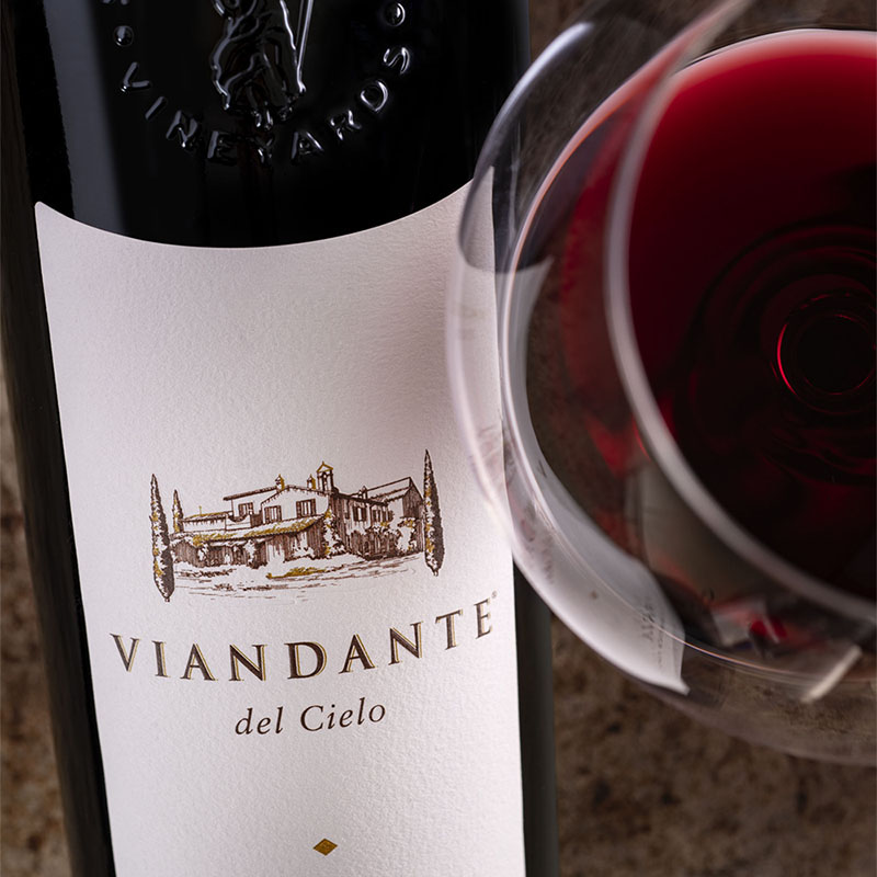 VIANDANTE DEL CIELO